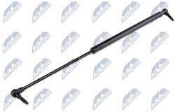 NTY Amortizor portbagaj NTY AE-CH-012 (AE-CH-012)