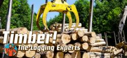 UniqueGames Timber! The Logging Experts (PC)