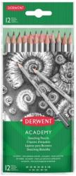 Derwent Set 12 creioane Grafit 5H-6B, blister Derwent Academy 2300412 (2300412)