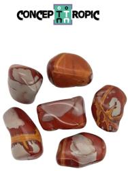 Jasp Noreena Rulat Natural - 28-40 x 21-26 mm - ( L ) - 1 Buc