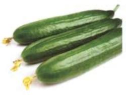 VERITAS-AGRO Marumba F1 kígyóuborka vetőmag 100 szem