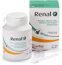 Candioli Pharma Renal P por 70 g
