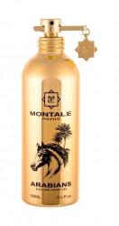Montale Arabians EDP 100 ml Tester