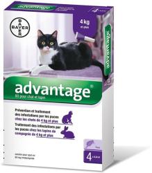 Bayer Advantage 80 spot on macskáknak és nyulaknak (4-8 kg között) 0, 8 ml