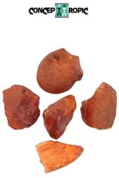  Carneol Natural Brut - 34-45 x 23-35 mm - ( XL ) - 1 Buc