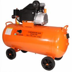 Bisonte SF020-100 (BT1008908)