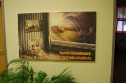 Egyedi vászonképek