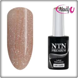 NTN Premium UV/LED 63#