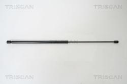 TRISCAN Amortizor capota TRISCAN 8710 67100 (8710 67100) - automobilus