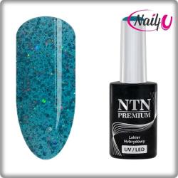 NTN Premium UV/LED 45#