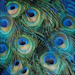 Ambiente Peacock Feathers papírszalvéta 33x33cm, 20db-os