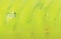 Rapture Ulc Alien Craw 2.5cm/0.5g Chartreuse 12db lágygumi csali (187-21-001)