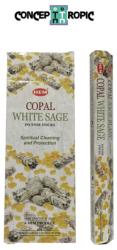  Betisoare Parfumate Tamaie cu Salvie HEM Copal-White Sage - 15 g - Elixirul Curatarii Energetice - Incense Sticks - 1 Set