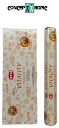 HEM Betisoare Parfumate HEM Vitality - 15 g - Aroma Fortei Interioare - Incense Sticks - 1 Set