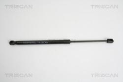 TRISCAN Amortizor portbagaj TRISCAN 8710 10207 (8710 10207) - automobilus