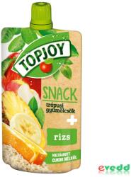 Topjoy Püré 100Gr Tropic+Rizs Snack