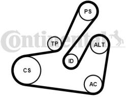 Continental Ctam Set curea transmisie cu caneluri CONTINENTAL CTAM 6PK1795K2 (6PK1795K2) - automobilus