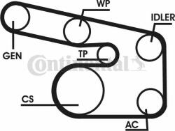 Continental Ctam Set curea transmisie cu caneluri CONTINENTAL CTAM 6PK1873D1 (6PK1873D1) - automobilus
