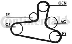 Continental Ctam Set curea transmisie cu caneluri CONTINENTAL CTAM 6DPK1195D2 (6DPK1195D2)