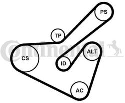 Continental Ctam Set curea transmisie cu caneluri CONTINENTAL CTAM 6PK1725K2 (6PK1725K2) - automobilus