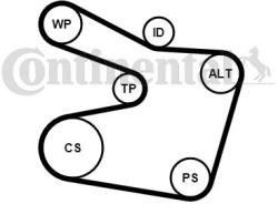 Continental Ctam Set curea transmisie cu caneluri CONTINENTAL CTAM 6PK1538K2 (6PK1538K2) - automobilus