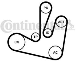 Continental Ctam Set curea transmisie cu caneluri CONTINENTAL CTAM 6PK1750K2 (6PK1750K2) - automobilus