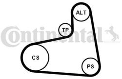 Continental Ctam Set curea transmisie cu caneluri CONTINENTAL CTAM 6PK906K3 (6PK906K3) - automobilus