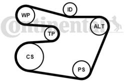 Continental Ctam Set curea transmisie cu caneluri CONTINENTAL CTAM 6PK1538K1 (6PK1538K1) - automobilus