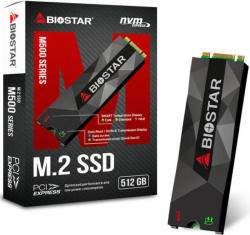 BIOSTAR M500 512GB PCI-E (SE160PM535-YT1BJ-BS2)