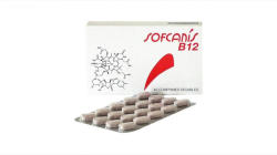Laboratories Moureau Sofcanis B12, 40 comprimate
