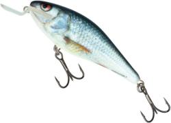 Salmo Vobler SALMO Executor Shallow Runner EX5SR Real Dace, Floating, 5cm, 5g (84595691)