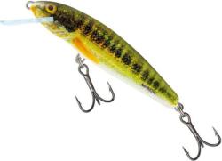 Salmo Vobler SALMO Minnow M7F HRM - Holographic Real Minnow, Floating, 7cm, 6g (84427140)