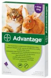 Bayer Advantage 80 spot-on macskáknak és nyulaknak 4-8kg között - 4 adag