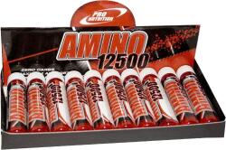 Pro Nutrition Amino 12500 (10x25 ml)