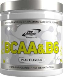 Pro Nutrition BCAA + B6 (300 gr. )