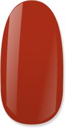 NiiZA Gel Polish 4ml - 117