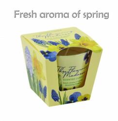 Illatgyertya pohárban Fresh aroma of spring 8, 5cm