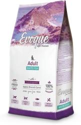 Evoque Cat Adult White Fish with Fruits & Vegetables 8 kg