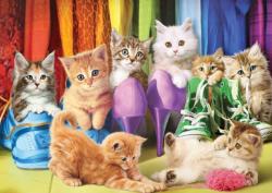 EUROGRAPHICS 6000-5543 - Kitten Pride - 1000 db-os puzzle (6000-5543)