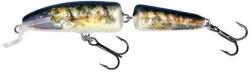 Salmo Vobler Salmo Fanatic IF7F RG plutitor 7 cm/5 gr (84387170)