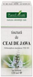 PlantExtrakt Tinctura de Ceai de Jawa 120 ml (ORTHOSIPHON)