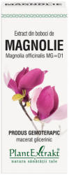 PlantExtrakt Extract din boboci de magnolia (MAGNOLIA OFF. )