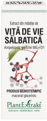 PlantExtrakt Extract din mladite vita de vie salbatica 50 ml (AMPELOPSIS)