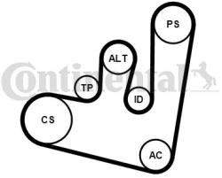 Continental Ctam Set curea transmisie cu caneluri CONTINENTAL CTAM 6PK1660K1 (6PK1660K1) - automobilus