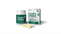 Innovet CondroSTRESS+, 30 tablete