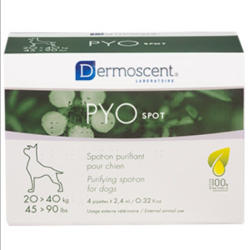 Dermoscent Pyo Spot Caine 20-40 kg - 4 pipete