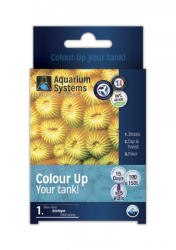 Aquarium Systems - Colour Up Program - Marine