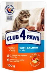 CLUB 4 PAWS Hrana umeda completa cu somon in jeleu pentru pisici adulte 12 x 100 gr