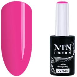 NTN Premium UV/LED 52#