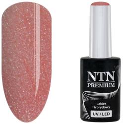 NTN Premium UV/LED 30#